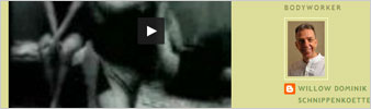 Heilpraktiker Willow-Dominik Schnippenkötter